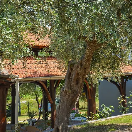 Pension Assos Koinira Exterior photo
